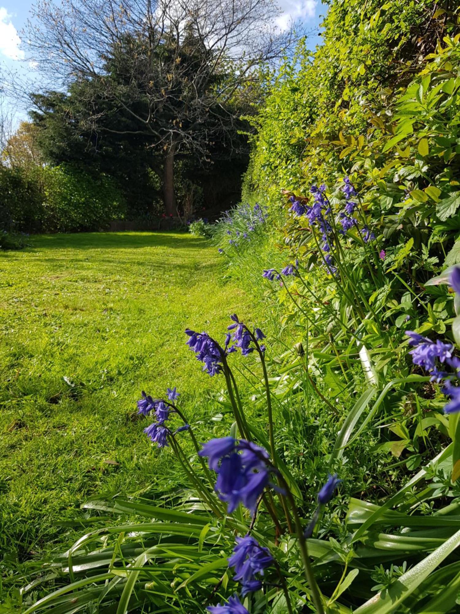Sundial Cottage Newton Abbot Exterior foto